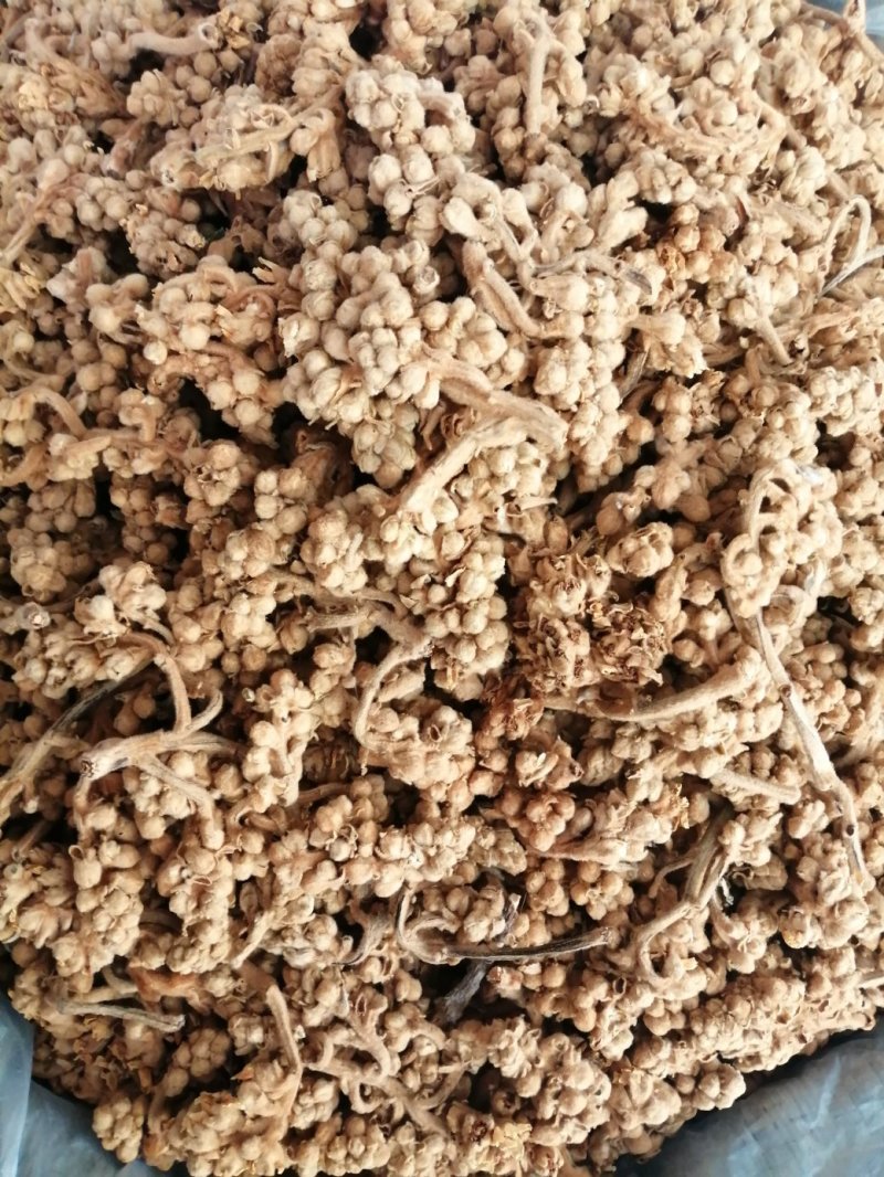 枇杷花，中药材枇杷花人工挑选，货干色泽靓丽