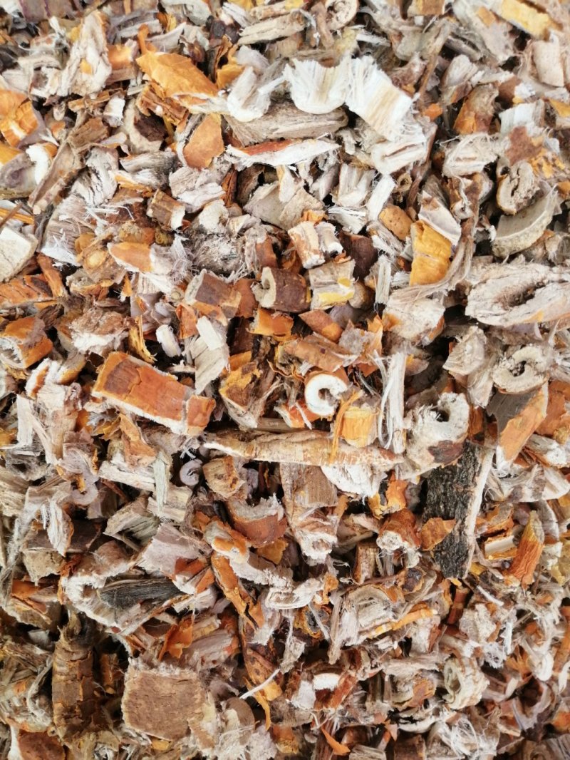 桑白皮，机器丝棉双桑白皮，产地直销，长期大货供应
