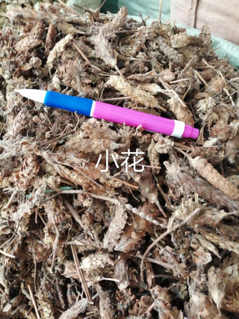 夏枯球，大量现货，产地直销干度好颜色漂亮