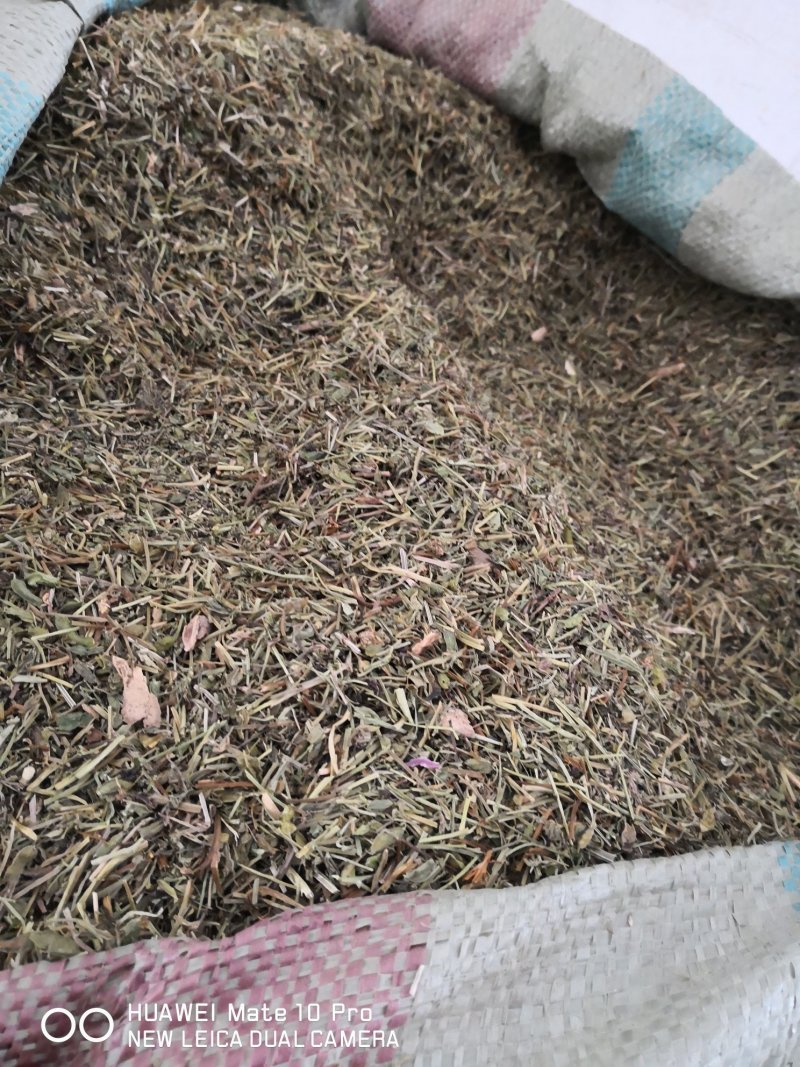 苦地丁干货散装产地直销量大从优欢迎选购
