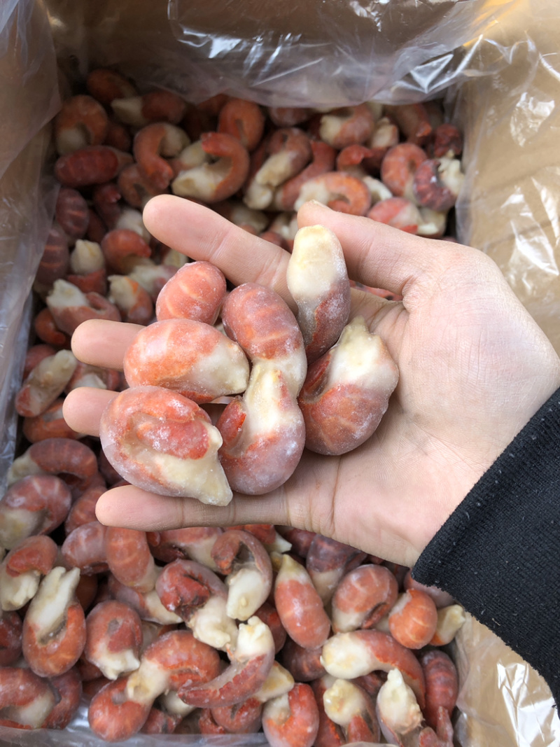 龙虾尾厂家直销只为走量特级