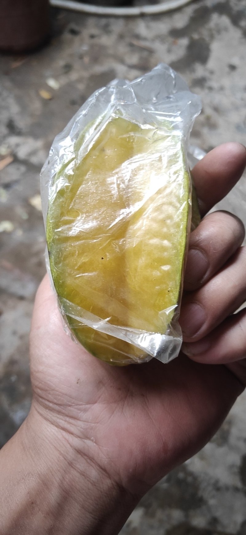 福建漳州杨桃新鲜水果应季现摘孕妇水果