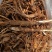 云南野生仙茅仙茅/中药材