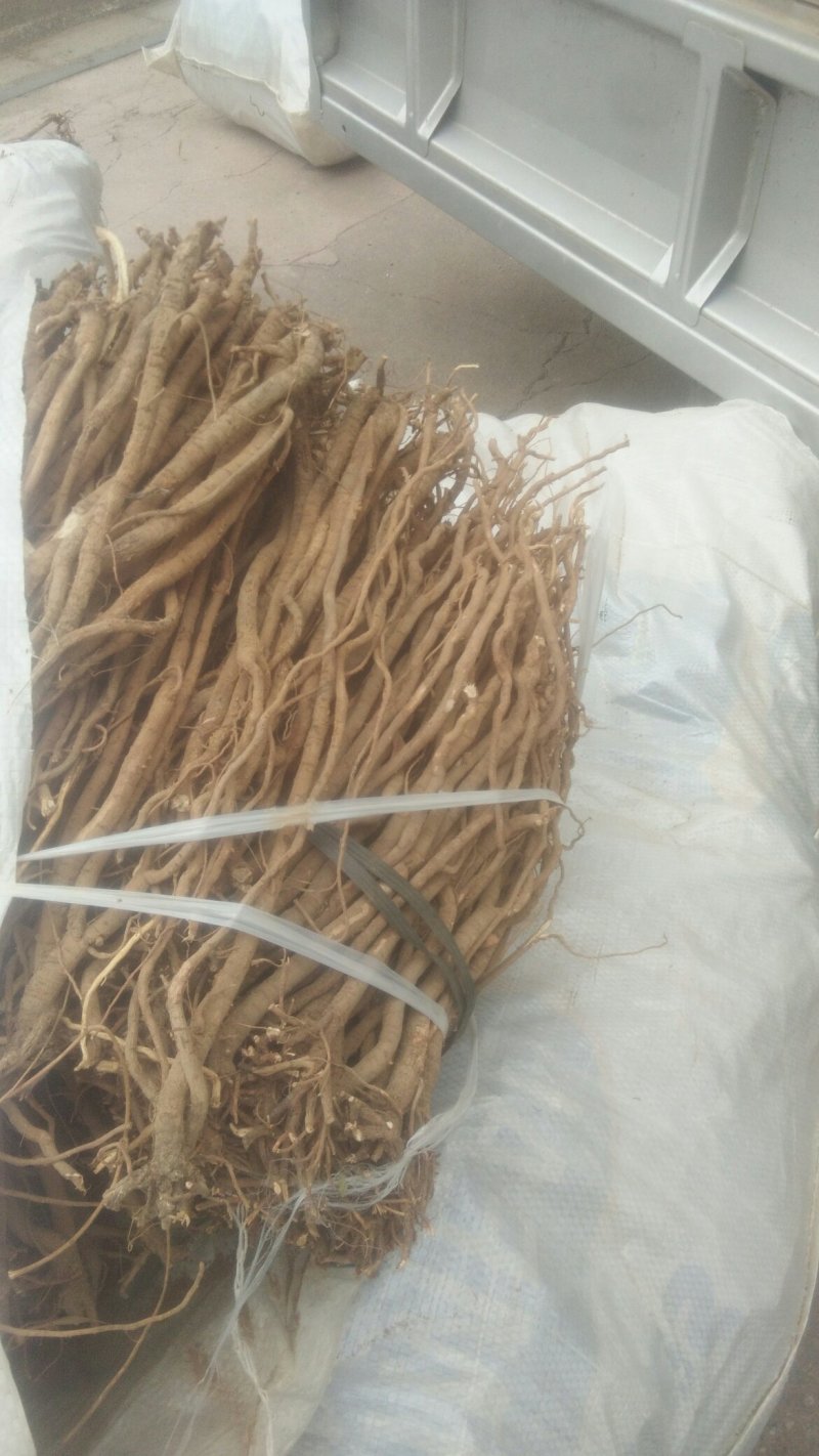 千斤拔/种植千斤拔/千斤拔干货/干货千斤拔/产地直发