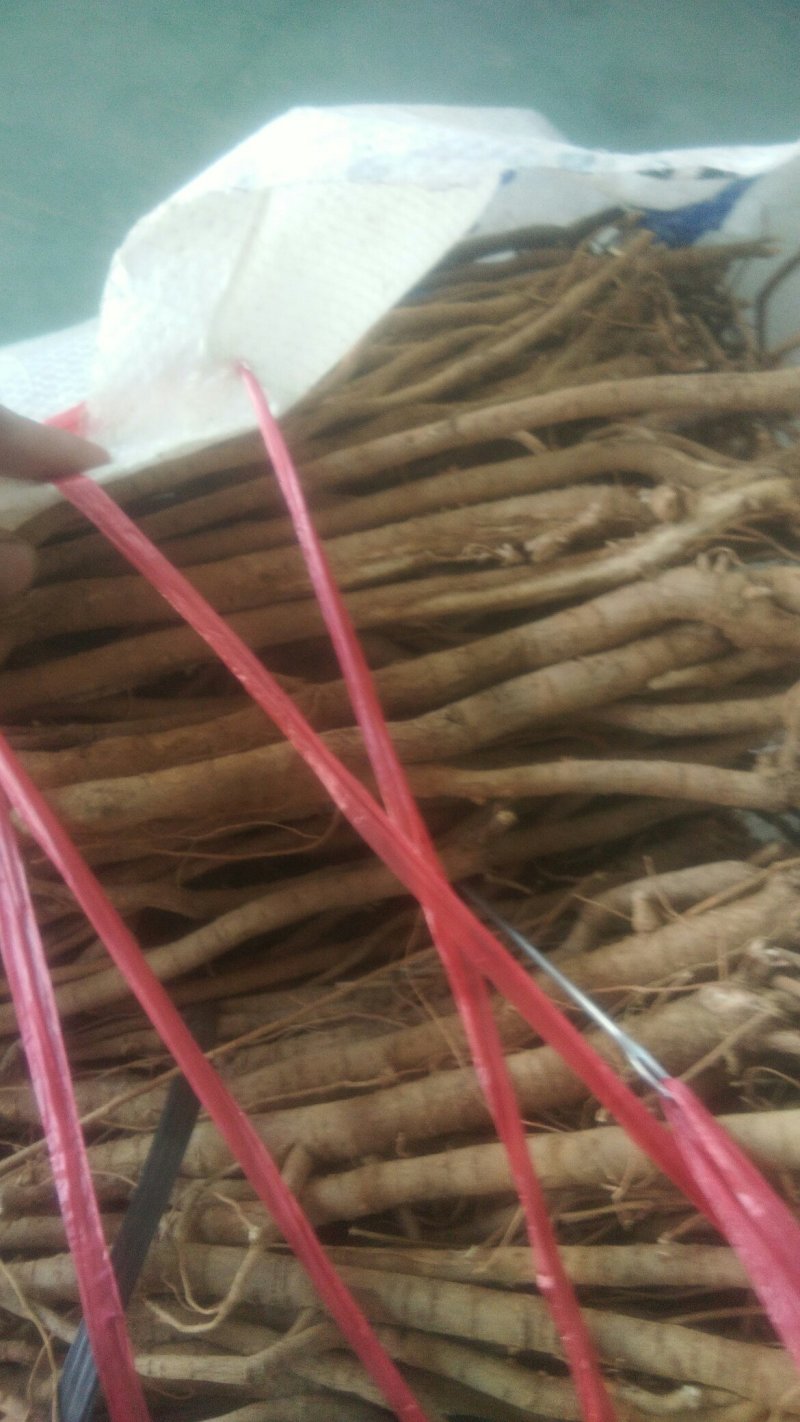 千斤拔/种植千斤拔/千斤拔干货/干货千斤拔/产地直发