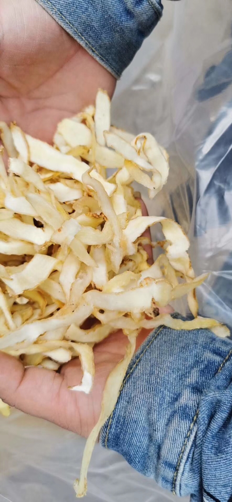 玉竹