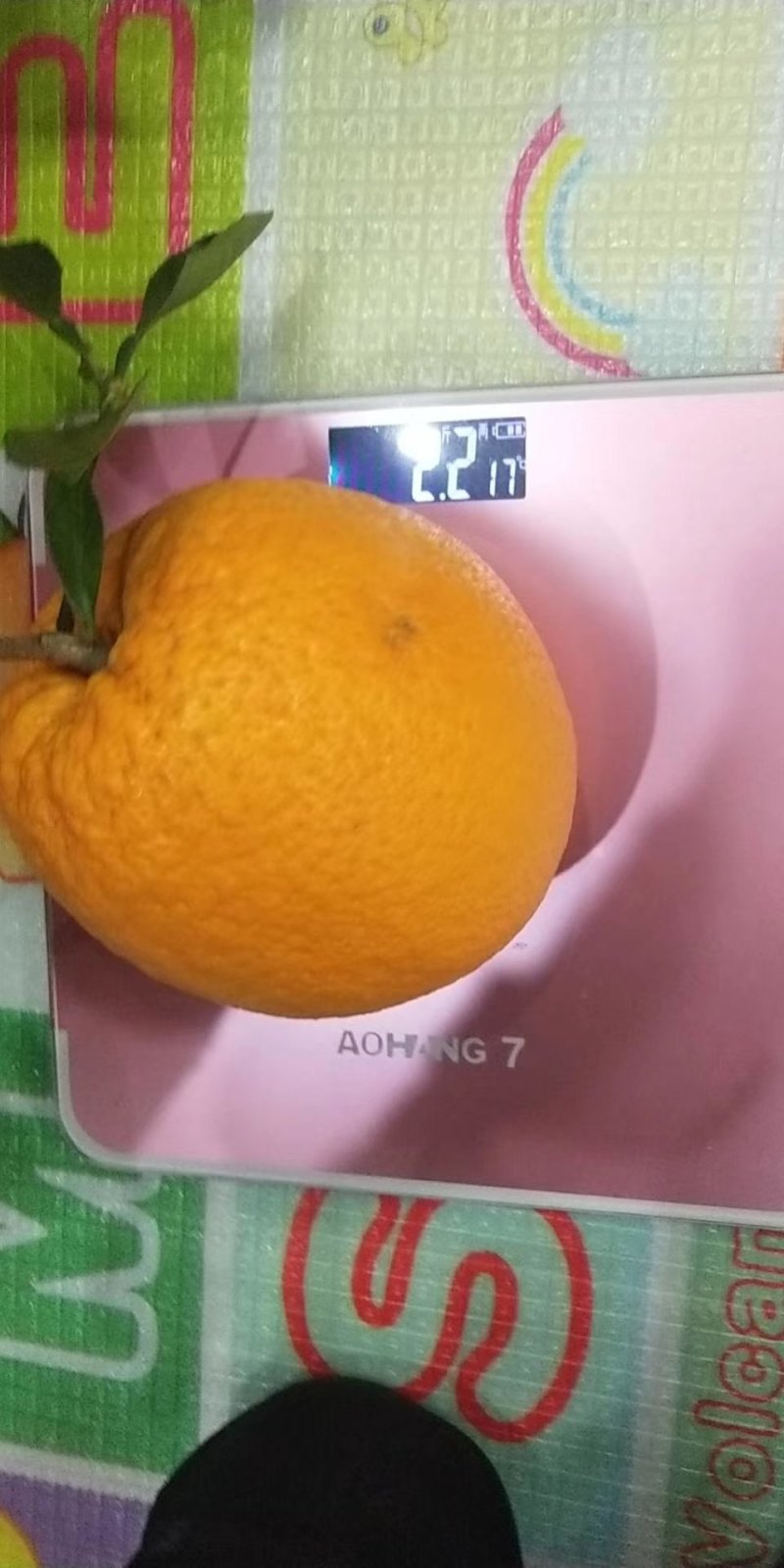 奉节脐橙72一1，伦晚