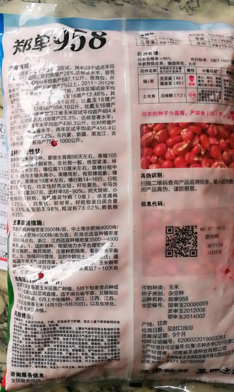 郑单一958玉米种，轴细出率高穗大，放心购买