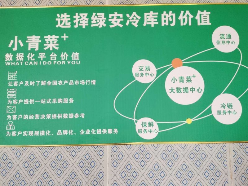 鲜嫩奶白菜，一手货源，产地直供，价格美丽，量大从优