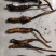 鲜草2021年冬虫夏草5根一独立真空包装顺丰包邮