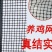 【精选】1.8加厚版围栏网养殖网防护围栏聚丙烯塑料网