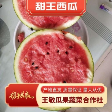 西瓜山东甜王西瓜二茬熟度高大红瓤产地直发电商团购