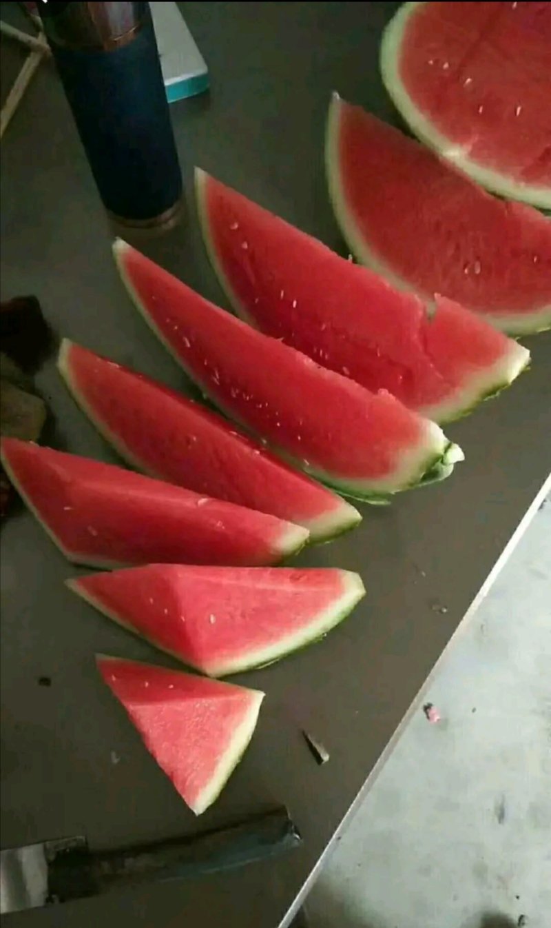 麒麟美都西瓜大量上市包熟包甜产地直供价格便宜