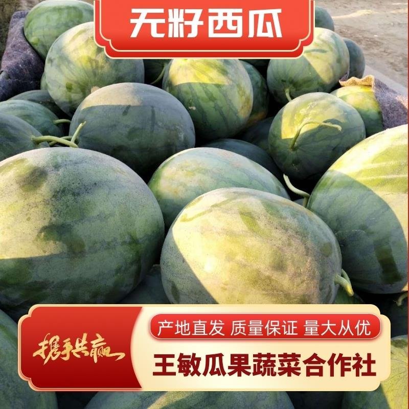 西瓜无籽西瓜大量供应皮薄耐运输大红瓤一手货源