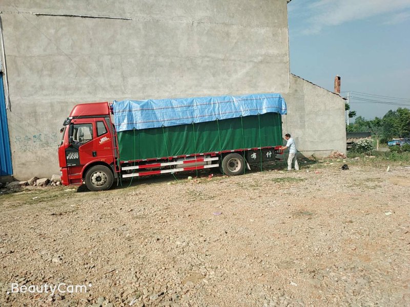 甜王西瓜大吨位产地直供精品，糖份高口感好，南北市场新宠儿