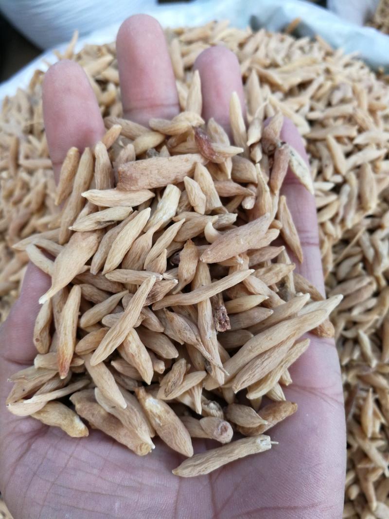 麦冬山麦冬产地直销量大从优一手货源