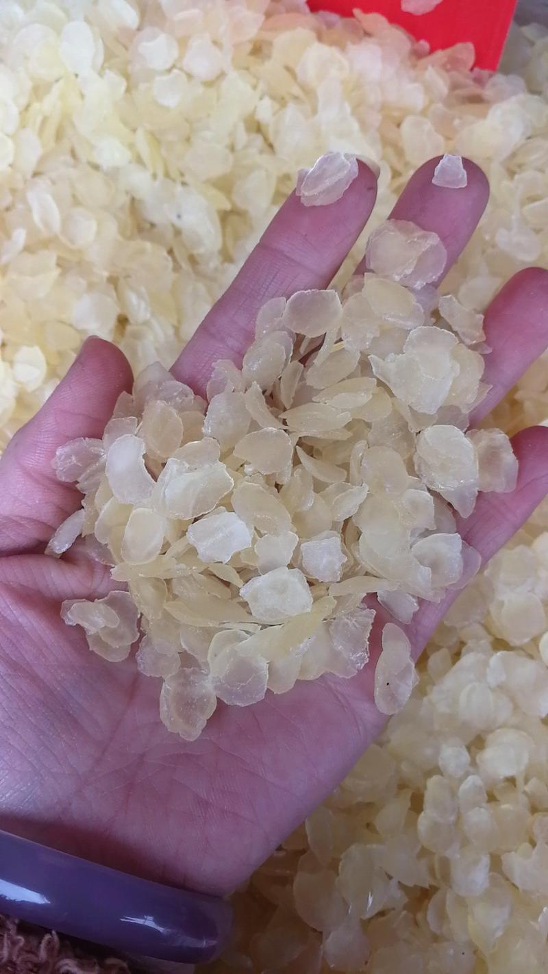 皂角米产地直销量大从优一手货源