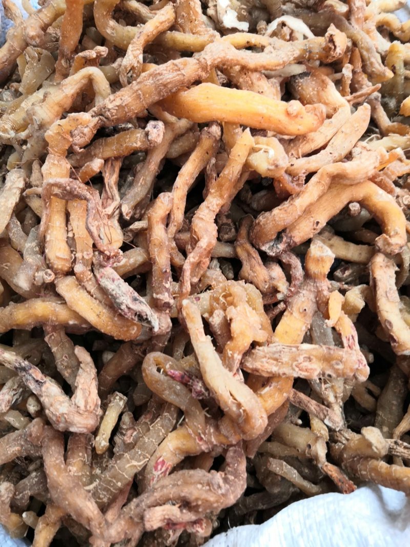 玉竹中药材！玉竹片一手货源价格优！量大包邮。