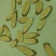 陕北子洲野生黄芪