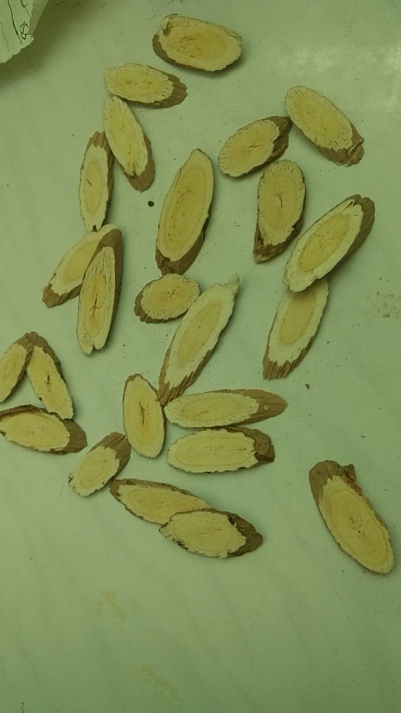 陕北子洲野生黄芪