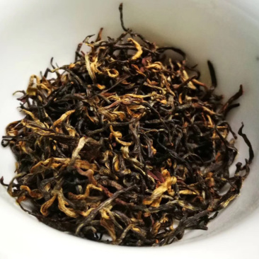 祁门红茶特级红香螺