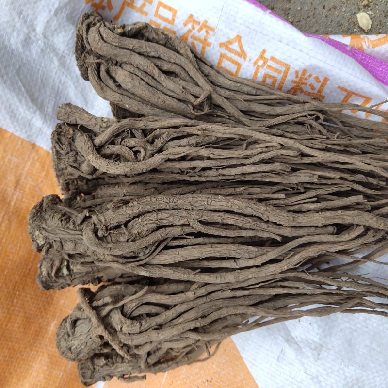 当归无硫当归大个子新货关书药业批发中药材