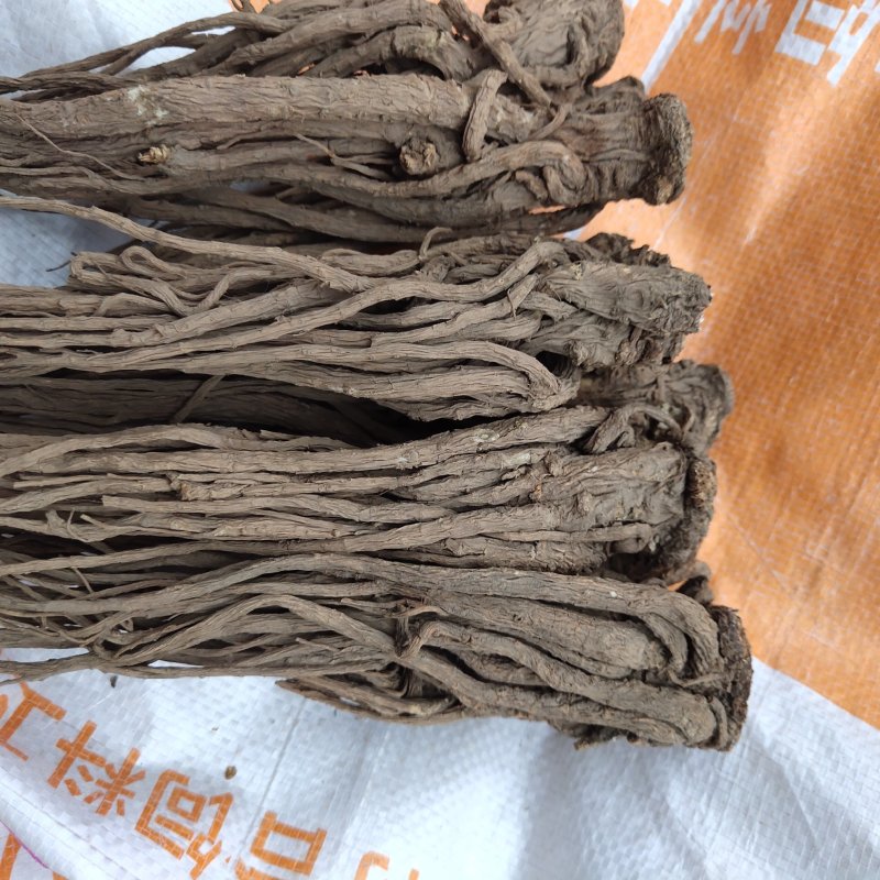 当归无硫当归大个子新货关书药业批发中药材