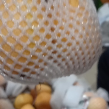 枇杷解放钟