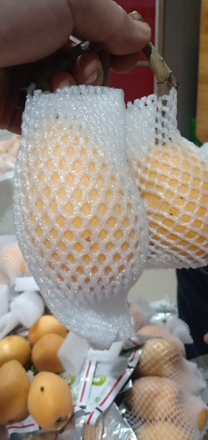枇杷解放钟