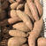 精品商品薯🍠(济薯26)大量现货供应价格便宜