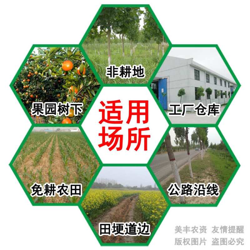 25%敌草快5公斤/4壶320元代替百草枯荒地果园见效快