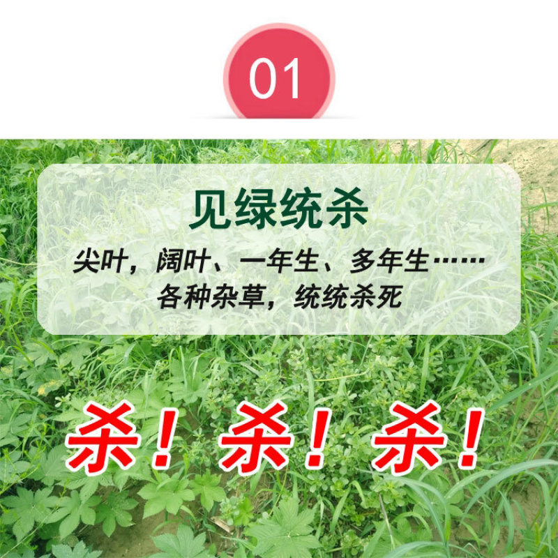 25%敌草快5公斤/4壶320元代替百草枯荒地果园见效快