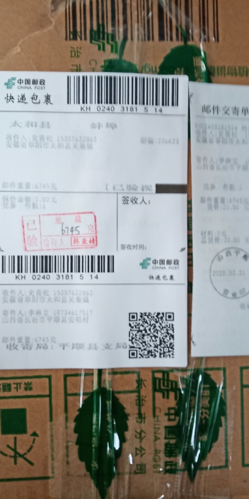 党参发货中