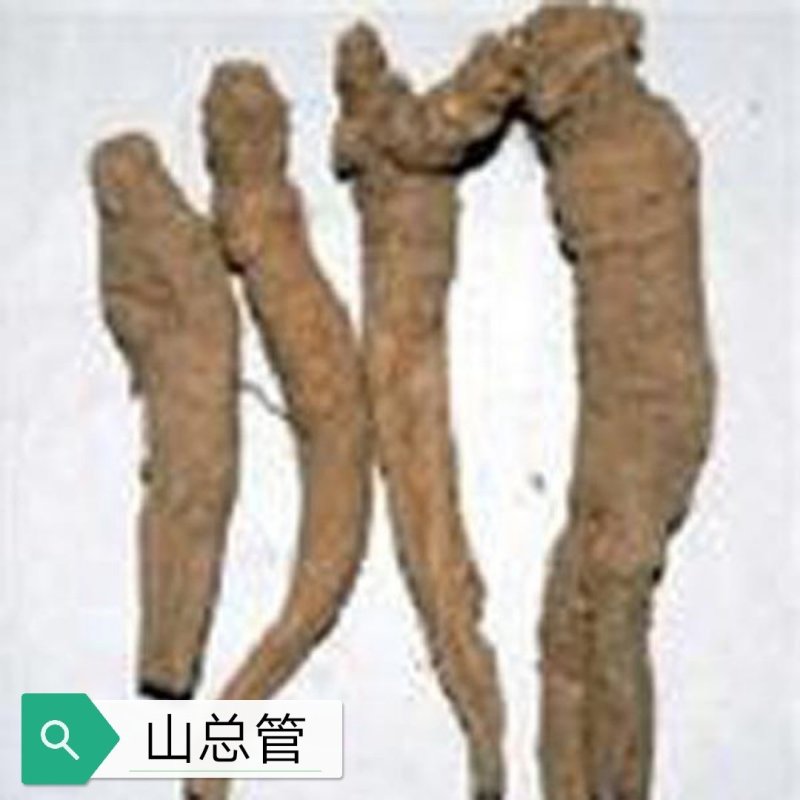 山总管、白金果榄、百解薯、银袋、苦凉藤，切厚片常年有货