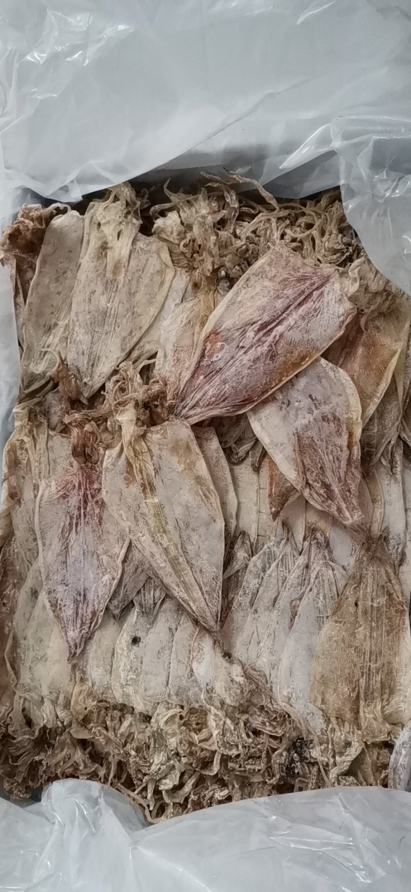 烧烤专用手撕干鱿鱼A3