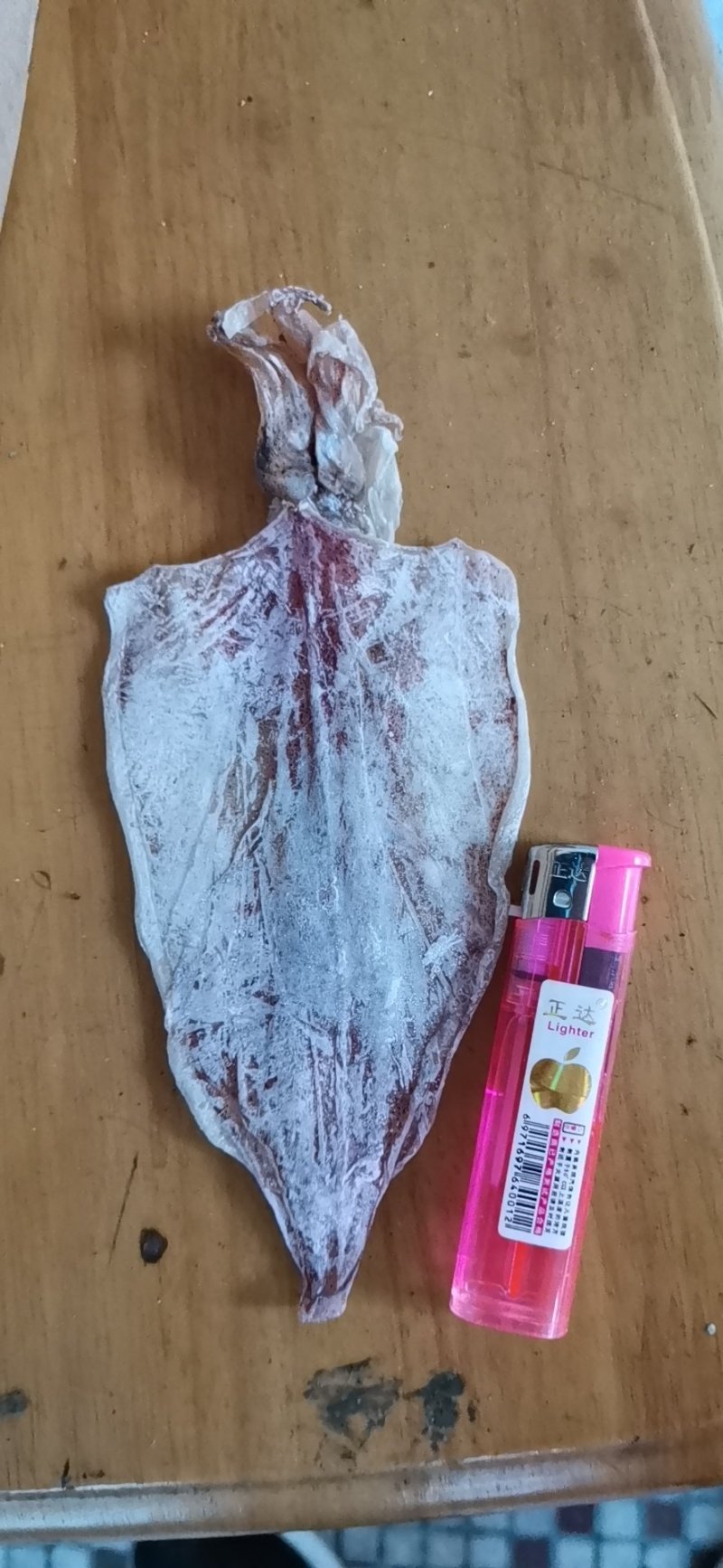 烧烤专用手撕干鱿鱼A3