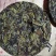 政和白茶2016年的一款350g老茶饼