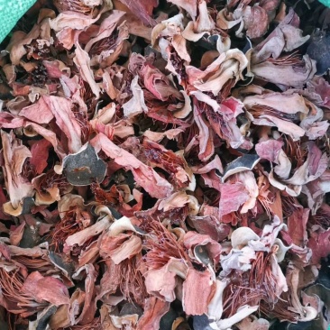 木棉花，攀枝花，颜色漂亮干度好，大量现货供应