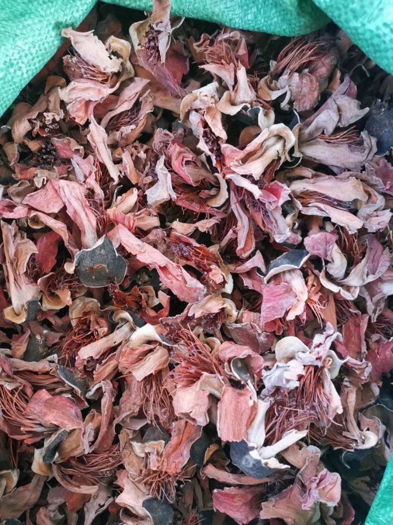 木棉花，攀枝花，颜色漂亮干度好，大量现货供应