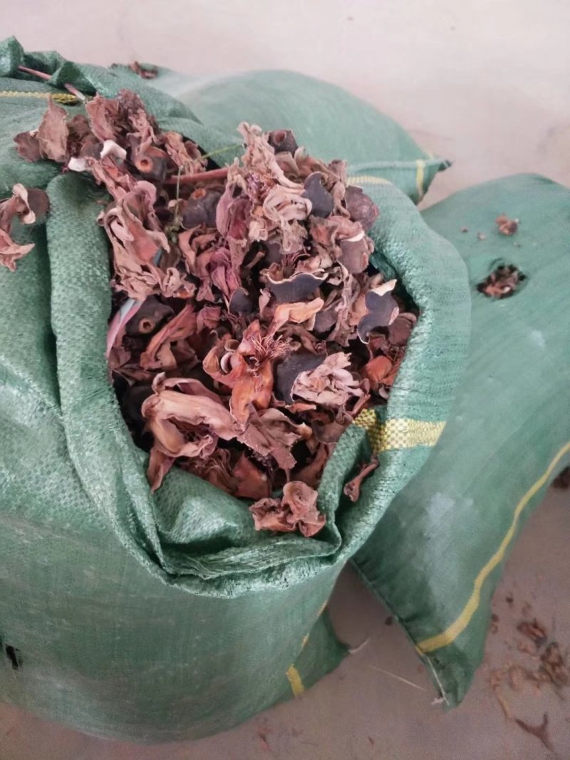 木棉花，攀枝花，颜色漂亮干度好，大量现货供应