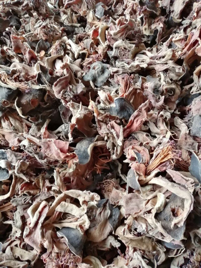 木棉花，攀枝花，颜色漂亮干度好，大量现货供应