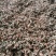 木棉花，攀枝花，颜色漂亮干度好，大量现货供应