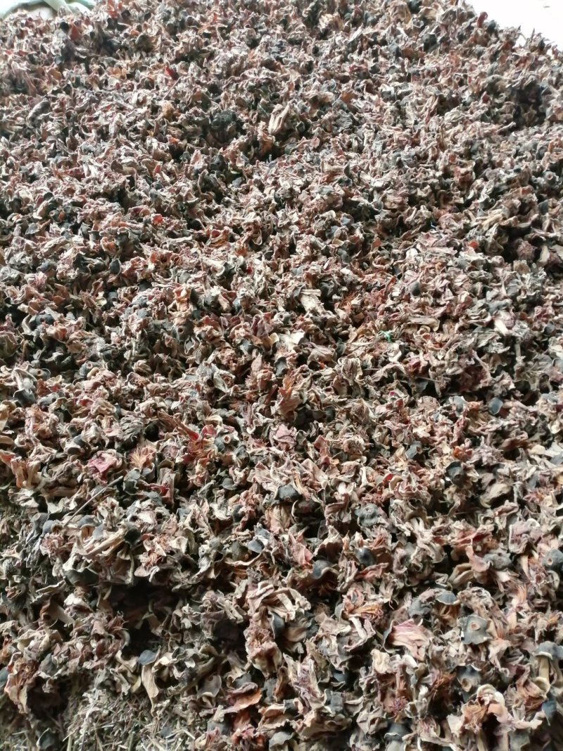 木棉花，攀枝花，颜色漂亮干度好，大量现货供应