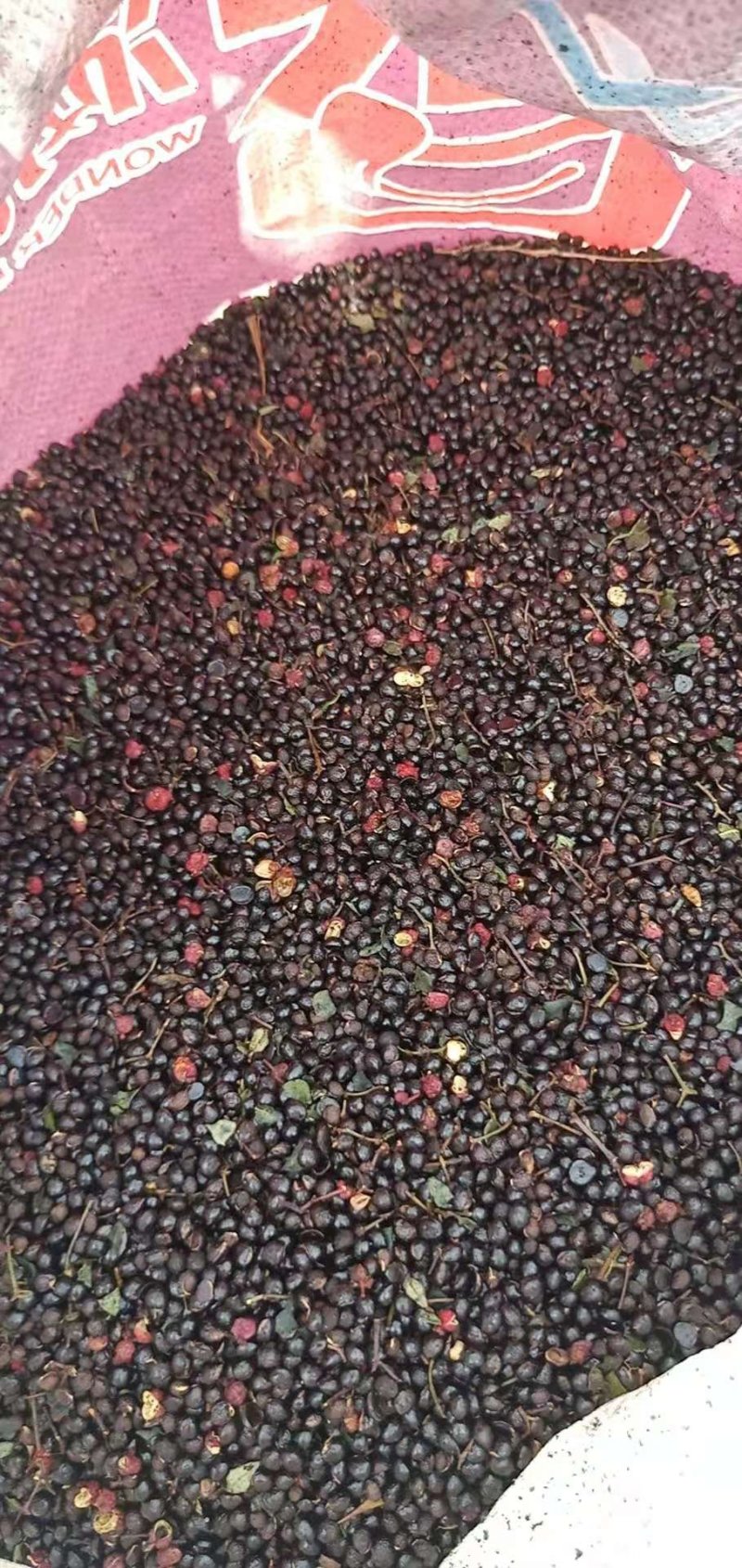 甘肃陇南武都农户花椒籽