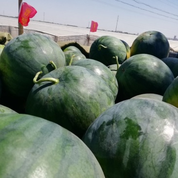 西瓜，南瓜，西瓜糖度13.5度