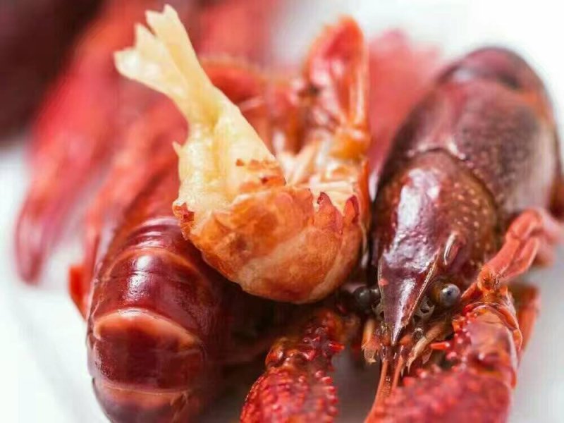 新鲜现杀虾尾