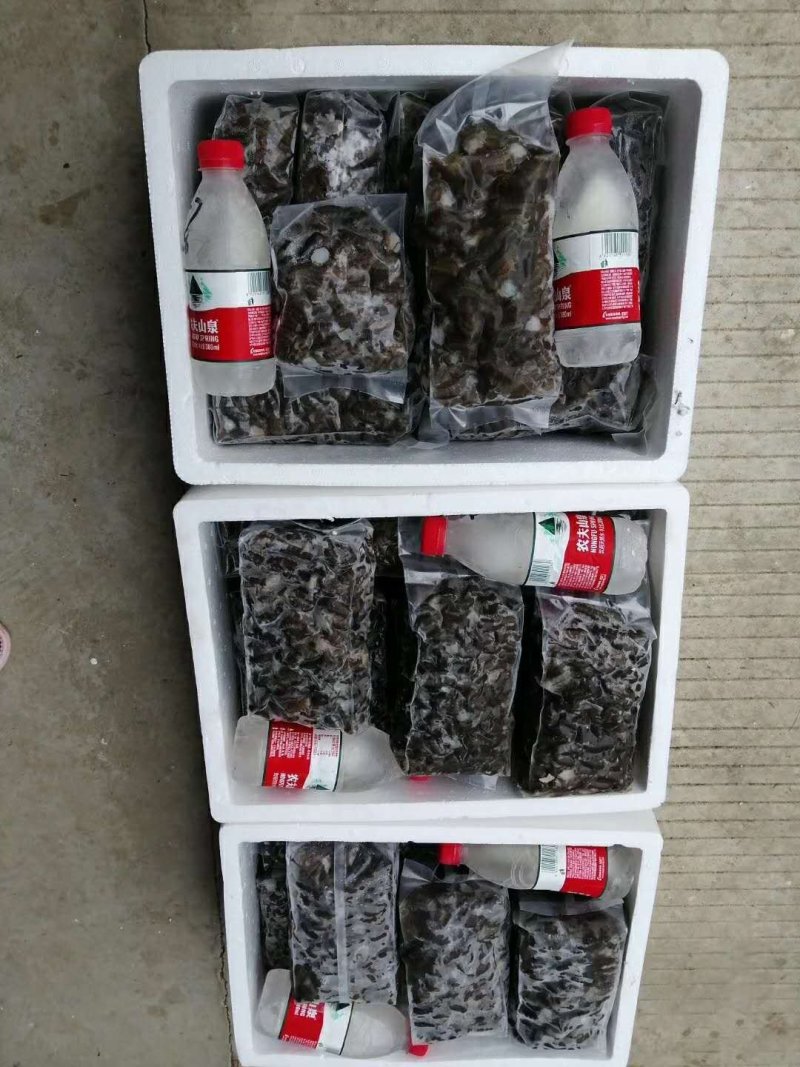 新鲜现杀虾尾