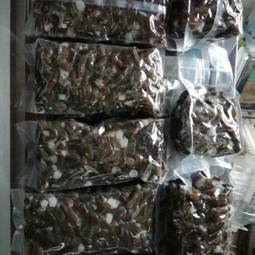 新鲜现杀虾尾