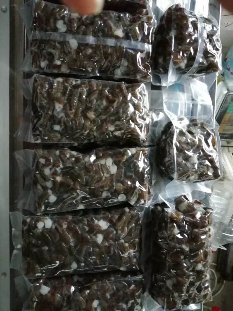 新鲜现杀虾尾