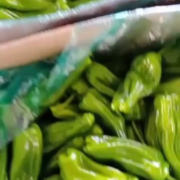 精品辣椒大量上市